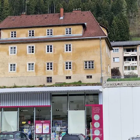 Eisenerzer - Radmeisterhaus Apartment *